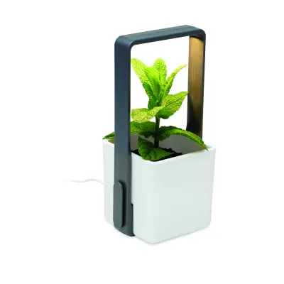 Giardino da interno LUSHLET 25 cm promozionale - Immagine 9