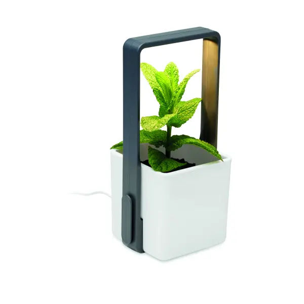 Giardino da interno LUSHLET 25 cm promozionale - Immagine 9