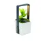 Giardino da interno LUSHLET 25 cm promozionale - Anteprima 9