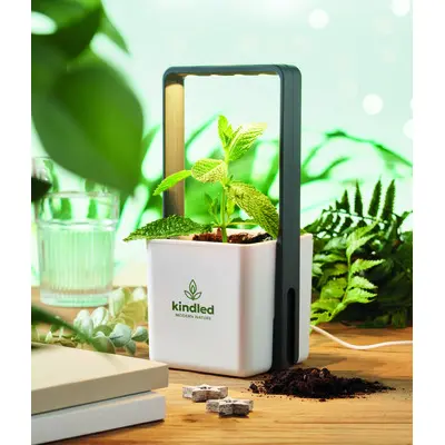 Giardino da interno LUSHLET 25 cm promozionale - Immagine 4