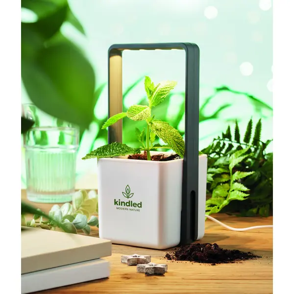 Giardino da interno LUSHLET 25 cm promozionale - Immagine 4