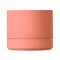 Speaker wireless RECAR 3W personalizzabile - Anteprima 43