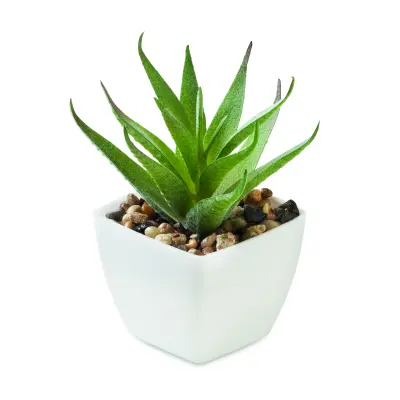 Mini pianta ARTILOE 59 cm promozionale - Immagine 1