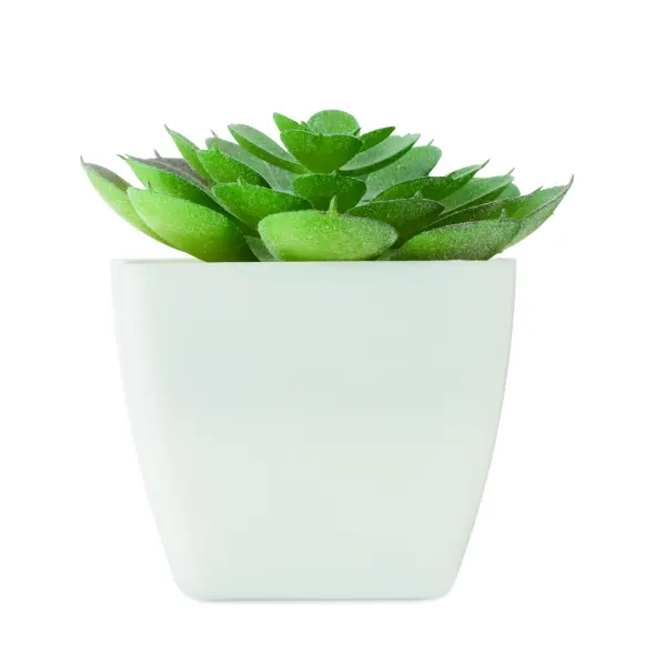 Mini pianta artificiale ARTIECHE in PP 37,5 cm - Immagine 2