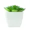 Mini pianta artificiale ARTIECHE in PP 37,5 cm - Anteprima 2