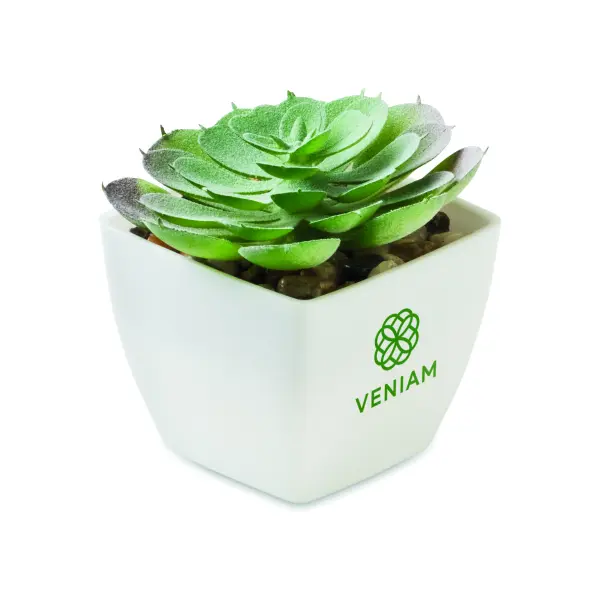 Mini pianta artificiale ARTIECHE in PP 37,5 cm - Immagine 5