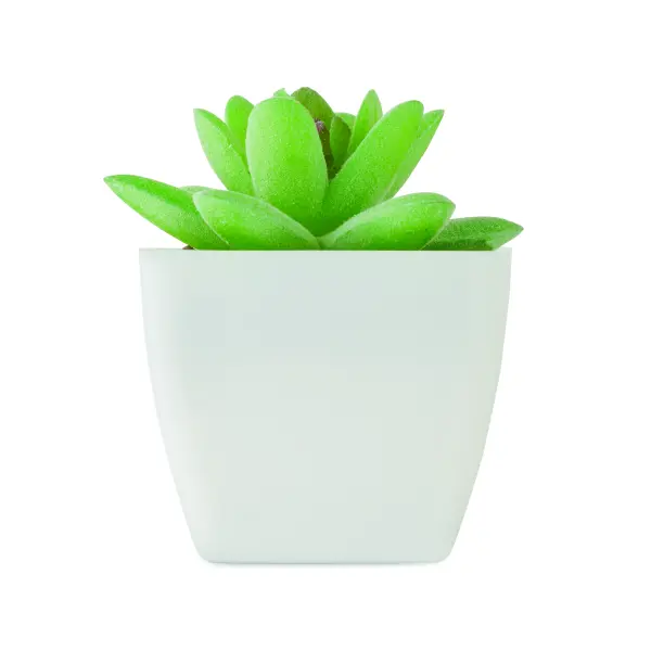 Mini pianta artificiale ARTIGRAP 37,5 cm con stampa - Immagine 2