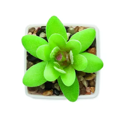 Mini pianta artificiale ARTIGRAP 37,5 cm con stampa - Immagine 3