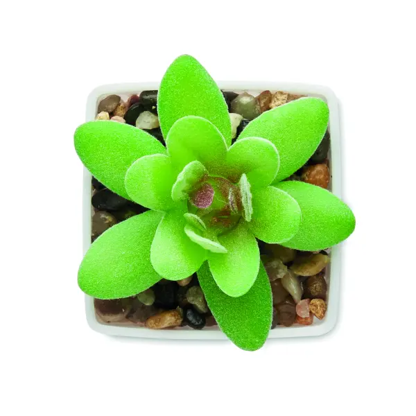Mini pianta artificiale ARTIGRAP 37,5 cm con stampa - Immagine 3