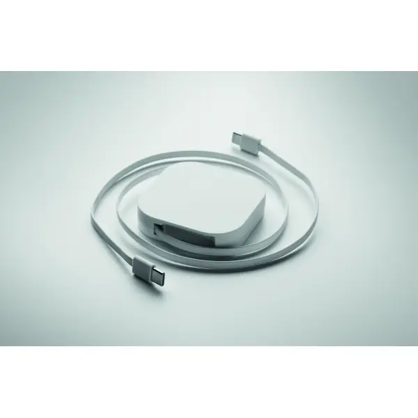 Cavo retrattile LINEA 100 100W con stampa - Immagine 22