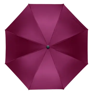 Ombrello automatico RAYNA 27'' con stampa del logo - Immagine 9