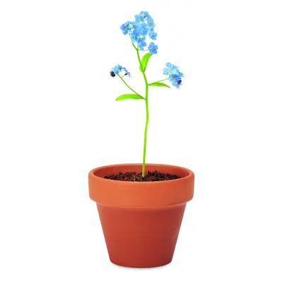 Semi di non ti scordar di me - FORGET ME NOT - Immagine 3