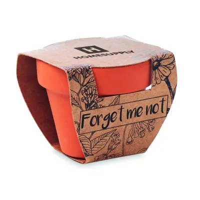 Semi di non ti scordar di me - FORGET ME NOT - Immagine 5