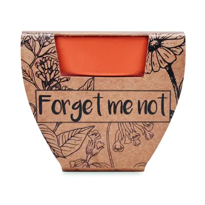 Semi di non ti scordar di me - FORGET ME NOT - Immagine 2