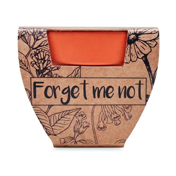 Semi di non ti scordar di me - FORGET ME NOT - Immagine 2