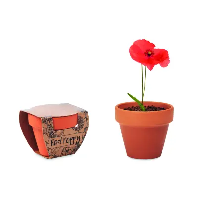 Semi di papavero - RED POPPY - Immagine 1