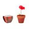 Semi di papavero - RED POPPY - Anteprima 1