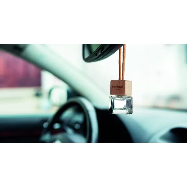 Deodorante auto - FRESH AIR - Immagine 4