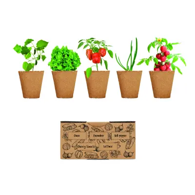 Kit insalata SALAD 40x20x60 cm con logo