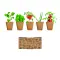 Kit insalata SALAD 40x20x60 cm con logo - Anteprima 1