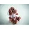 Peluche a forma di cane - DOGGY - Anteprima 3