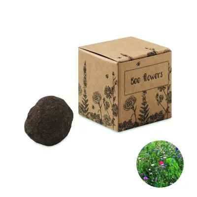 Kit di semi di fiori d'ape - BOMBI II