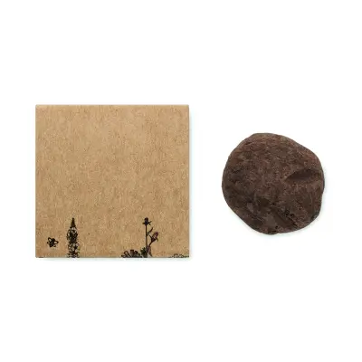 Kit di semi di fiori d'ape - BOMBI II - Immagine 4