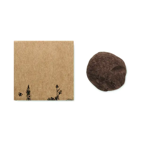 Kit di semi di fiori d'ape - BOMBI II - Immagine 4