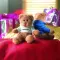 Peluche con T-shirt - JOHNNY - Anteprima 10