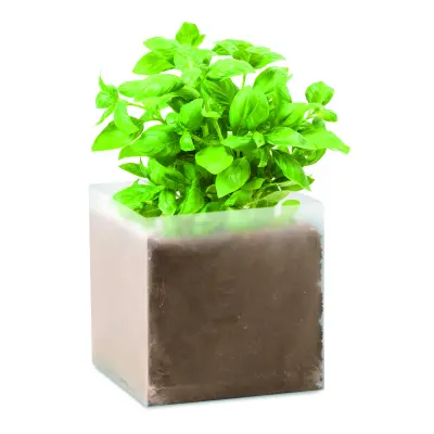 Semi di basilico - BASIL