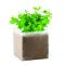 Semi di menta - MINT - Anteprima 1