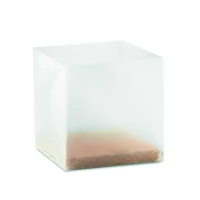 Semi di menta - MINT - Immagine 2