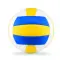 Pallone da pallavolo - VOLLEY - Anteprima 3
