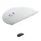 Mouse Ottico Wlick - Anteprima 1