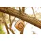 Speaker wireless promozionale 5W Baia - Anteprima 12