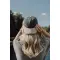 Cappellino BEAU AWARE™ in twill di cotone riciclato 270 gm2 - Anteprima 10