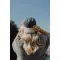 Cappellino BEAU AWARE™ in twill di cotone riciclato 270 gm2 - Anteprima 41
