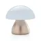 Luming RCS recycled plastic USB re-chargeable - Anteprima 22