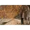 Bobby Bizz 2.0 anti-theft backpack & briefcase - Anteprima 33