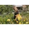 Shopper in cotone riciclato 145 gr Impact Aware™ - Anteprima 41