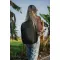 Zaino moderno PortaPC 15,6" Swiss Peak AWARE™ - Anteprima 13