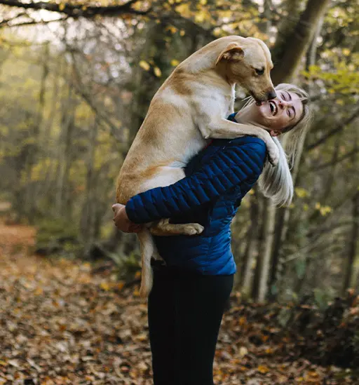 Articoli per Animali Domestici