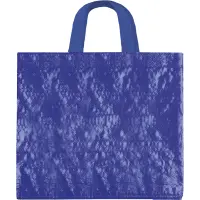 Borsa spesa 45x40x18 ALOISIO