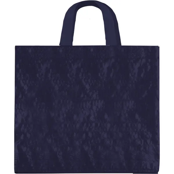 Borsa spesa 45x40x18 ALOISIO - Immagine 8