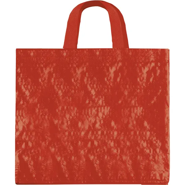 Borsa spesa 45x40x18 ALOISIO - Immagine 6