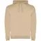 Felpa con cappuccio URBAN 280 g/m² con stampa logo - Anteprima 11