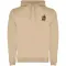 Felpa con cappuccio URBAN 280 g/m² con stampa logo - Anteprima 13