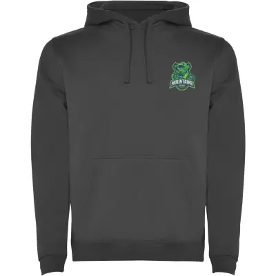Felpa con cappuccio URBAN 280 g/m² con stampa logo - Immagine 31