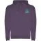 Felpa con cappuccio URBAN 280 g/m² con stampa logo - Anteprima 43