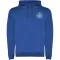 Felpa con cappuccio URBAN 280 g/m² con stampa logo - Anteprima 64